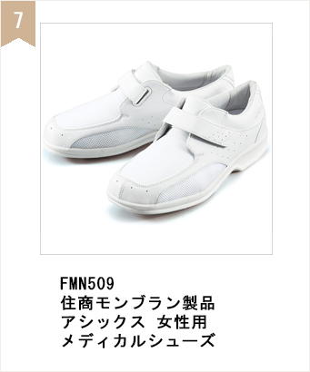 fmn509